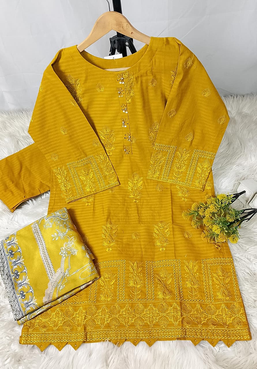 3 PIECE - EMBROIDERED KHADDAR SUIT