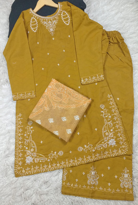3 PIECE - EMBROIDERED LAWN SUIT